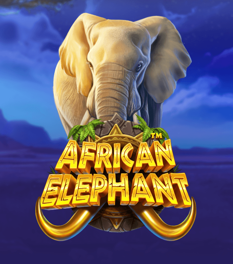 African Elephant