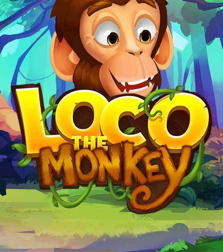 Loco the Monkey