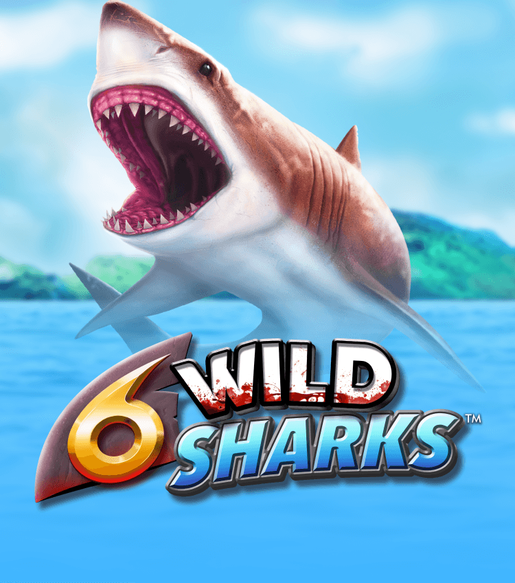 6 Wild Sharks